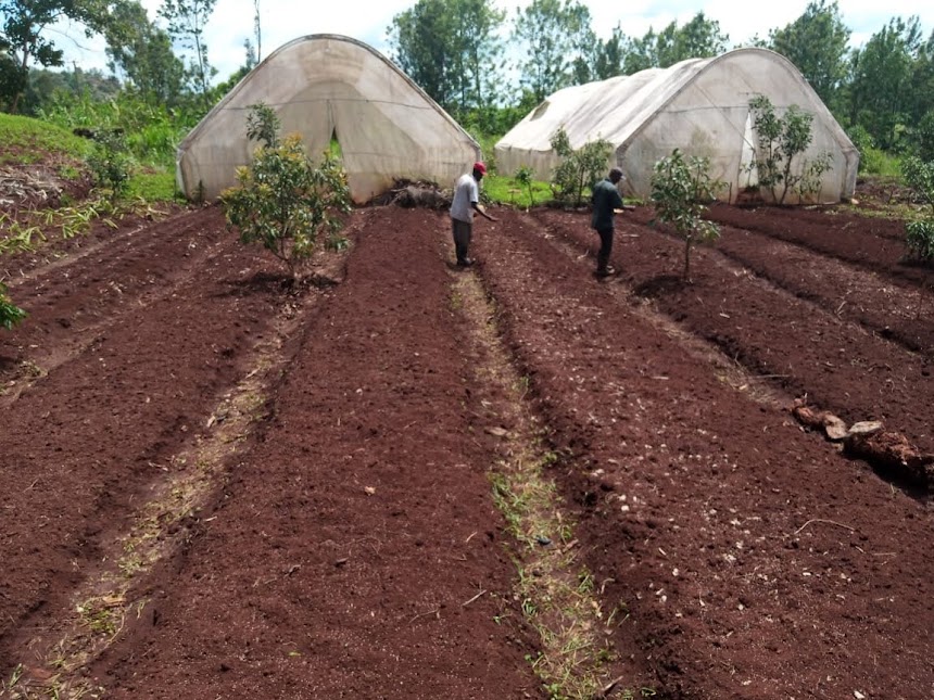 Young people participating in skills activities
