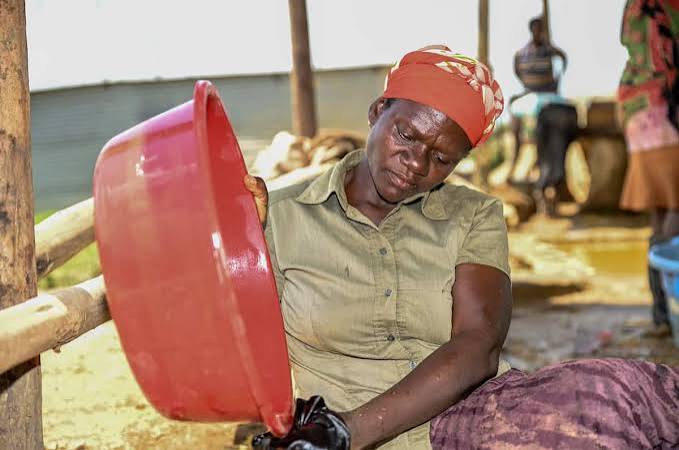 Read more about the article Women in Mining in Kenya: Building Safer, Stronger and Greener Livelihoods